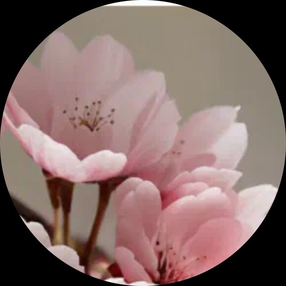 treasures3114